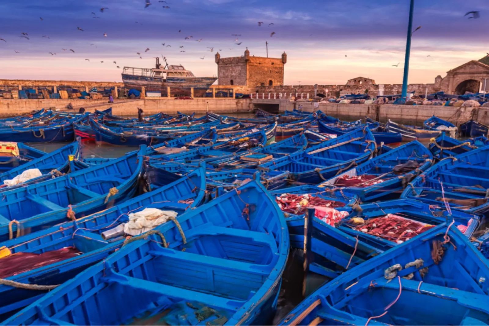 Journée à Essaouira, la cité des alizés — 1